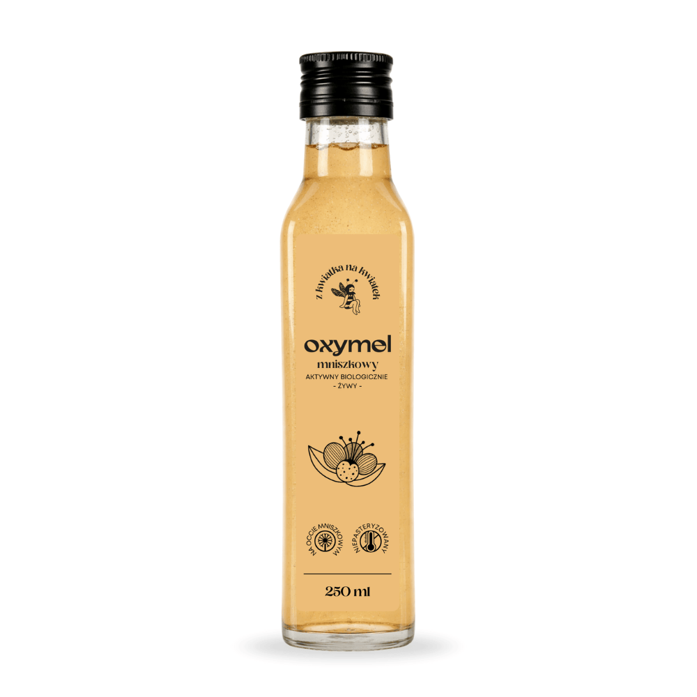OXYMEL MNISZKOWY 250 ML